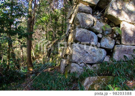 観音寺城跡 観音寺城跡 98203388