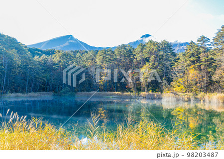 秋の五色沼湖沼群 竜沼 秋の五色沼湖沼群 竜沼 98203487