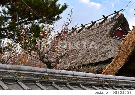 篠山 御徒士町武家屋敷群より 篠山 御徒士町武家屋敷群より 98203552