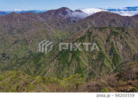 丹沢山地・塔ノ岳から見る檜洞丸と白峰三山 98203559