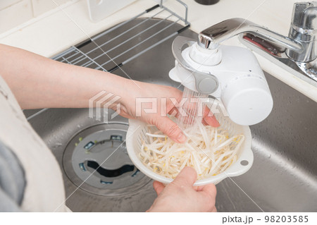 【もやしを洗う】 98203585