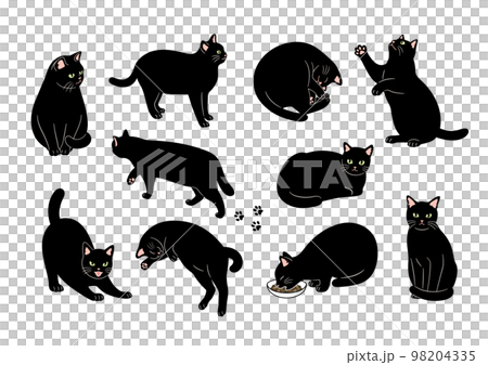 黒猫のいろいろなポーズのイラスト 98204335