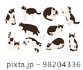 白黒猫のいろいろなポーズのイラスト 98204336