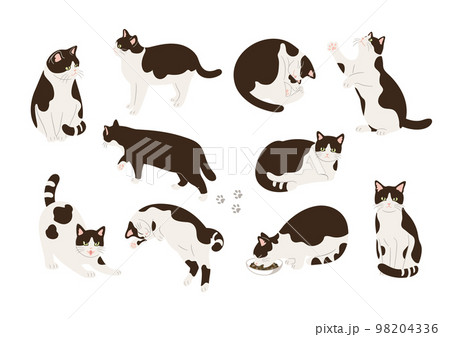 白黒猫のいろいろなポーズのイラスト 98204336