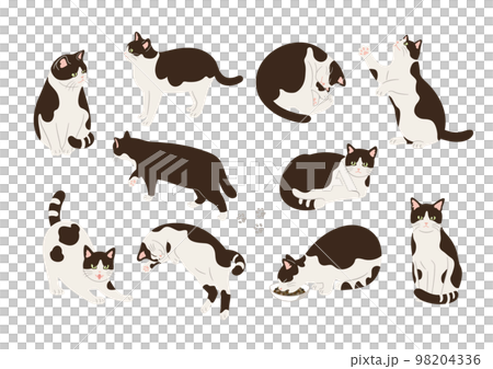 白黒猫のいろいろなポーズのイラスト 98204336