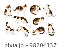 三毛猫のいろいろなポーズのイラスト素材 98204337