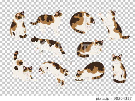 三毛猫のいろいろなポーズのイラスト素材 98204337
