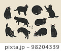 黒猫のいろいろなポーズのイラスト 98204339