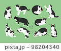 白黒猫のいろいろなポーズのイラスト 98204340