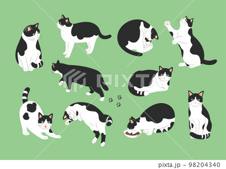 白黒猫のいろいろなポーズのイラスト 98204340