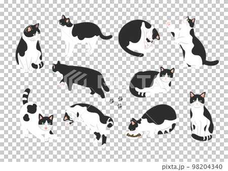 白黒猫のいろいろなポーズのイラスト 98204340