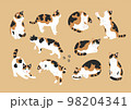 三毛猫のいろいろなポーズのイラスト 98204341