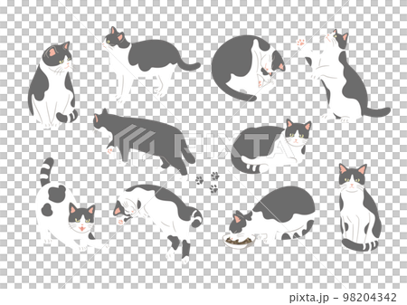 黑白貓各種姿勢圖解 98204342