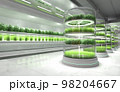 Organic vegetable farm. Hydroponic vegetable plant factory. 98204667
