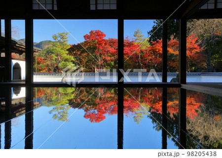 群馬県桐生市川内町 紅葉の名所宝徳寺にて境内の紅葉が本堂の床に映り込む床もみじ 群馬県桐生市川内町 紅葉の名所宝徳寺にて境内の紅葉が本堂の床に映り込む床もみじ 98205438