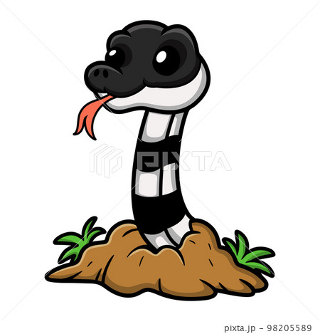 Cute banded krait snake cartoon out from hole 98205589