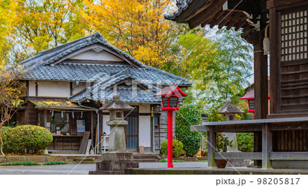 【神奈川県】高田天満宮の秋風景・紅葉に包まれる境内・12月 ※自然風景 【神奈川県】高田天満宮の秋風景・紅葉に包まれる境内・12月 ※自然風景 98205817