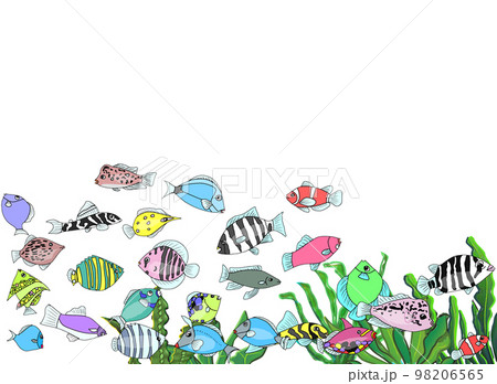 群れる海底の魚たち 98206565