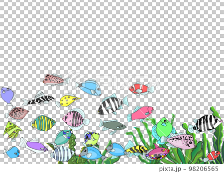 群れる海底の魚たち 98206565