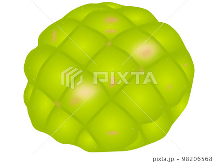 「抹茶メロンパン」 98206568