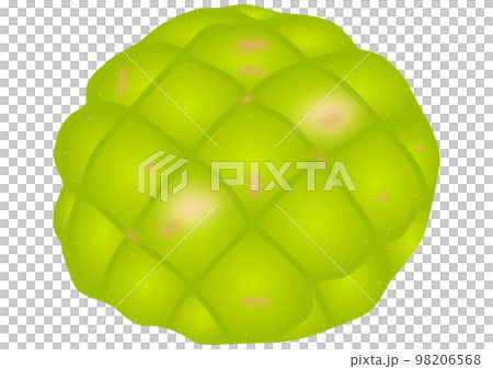 「抹茶メロンパン」 98206568