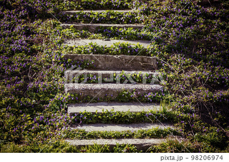Abandoned staircase overgrown with flowers. Abandoned staircase overgrown with flowers. 98206974