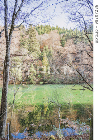 新潟　秋の龍ヶ窪 98207286