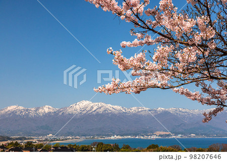 【新潟県・佐渡】早春の佐渡航路・両津湾 4月 【新潟県・佐渡】早春の佐渡航路・両津湾 4月 98207646