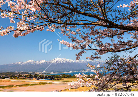 【新潟県・佐渡】早春の佐渡航路・両津湾 4月 【新潟県・佐渡】早春の佐渡航路・両津湾 4月 98207648