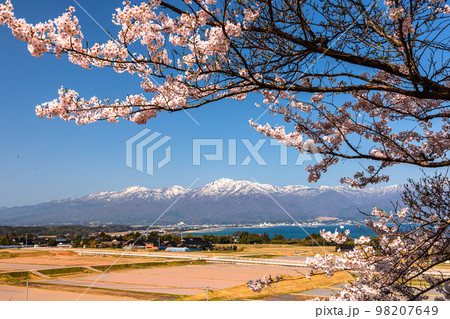 【新潟県・佐渡】早春の佐渡航路・両津湾 4月 【新潟県・佐渡】早春の佐渡航路・両津湾 4月 98207649