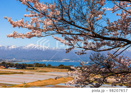 【新潟県・佐渡】早春の佐渡航路・両津湾 4月 【新潟県・佐渡】早春の佐渡航路・両津湾 4月 98207657