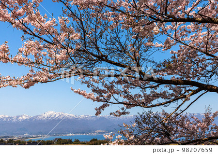 【新潟県・佐渡】早春の佐渡航路・両津湾 4月 【新潟県・佐渡】早春の佐渡航路・両津湾 4月 98207659