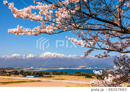 【新潟県・佐渡】早春の佐渡航路・両津湾 4月 【新潟県・佐渡】早春の佐渡航路・両津湾 4月 98207663