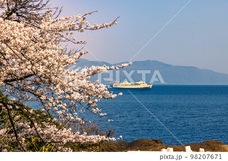 【新潟県･佐渡】早春の佐渡航路・両津湾　4月 98207671