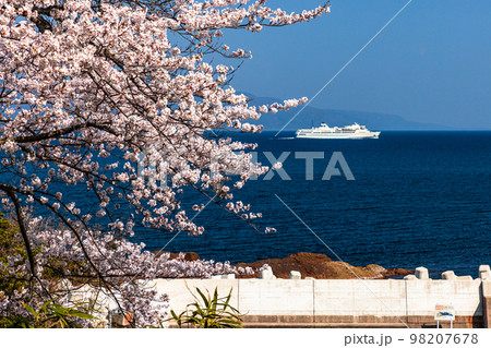 【新潟県・佐渡】早春の佐渡航路・両津湾 4月 【新潟県・佐渡】早春の佐渡航路・両津湾 4月 98207678