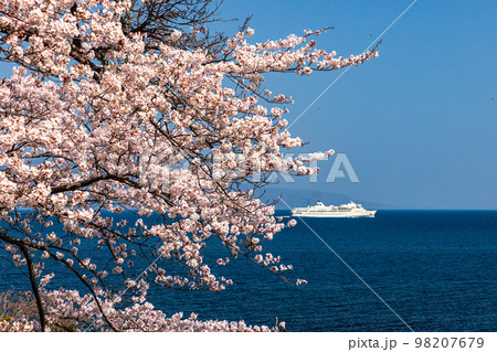 【新潟県・佐渡】早春の佐渡航路・両津湾 4月 【新潟県・佐渡】早春の佐渡航路・両津湾 4月 98207679