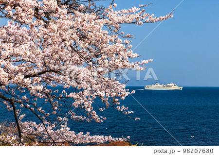 【新潟県・佐渡】早春の佐渡航路・両津湾 4月 【新潟県・佐渡】早春の佐渡航路・両津湾 4月 98207680