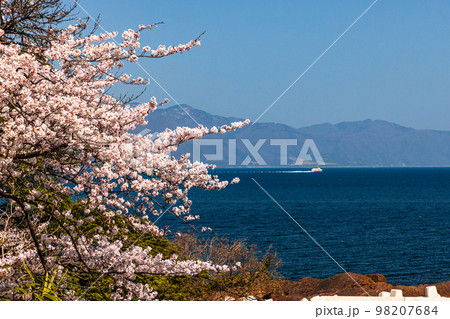 【新潟県・佐渡】早春の佐渡航路・両津湾 4月 【新潟県・佐渡】早春の佐渡航路・両津湾 4月 98207684