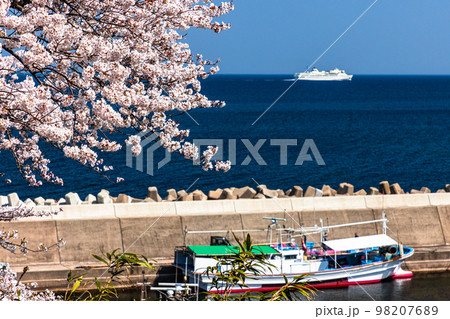 【新潟県・佐渡】早春の佐渡航路・両津湾 4月 【新潟県・佐渡】早春の佐渡航路・両津湾 4月 98207689