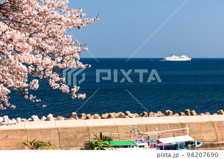 【新潟県･佐渡】早春の佐渡航路・両津湾　4月 98207690