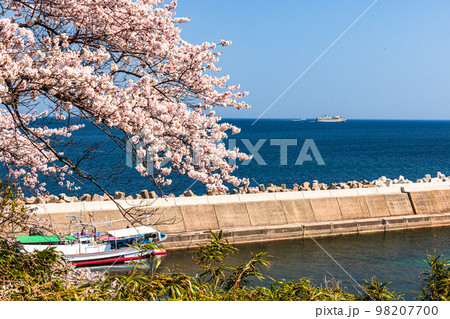 【新潟県・佐渡】早春の佐渡航路・両津湾 4月 【新潟県・佐渡】早春の佐渡航路・両津湾 4月 98207700