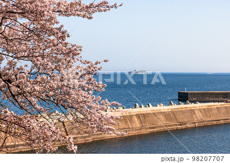 【新潟県・佐渡】早春の佐渡航路・両津湾 4月 【新潟県・佐渡】早春の佐渡航路・両津湾 4月 98207707