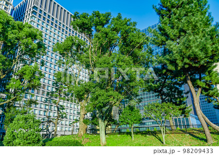 【東京の都市風景】和田倉噴水公園から見た高層ビル 98209433