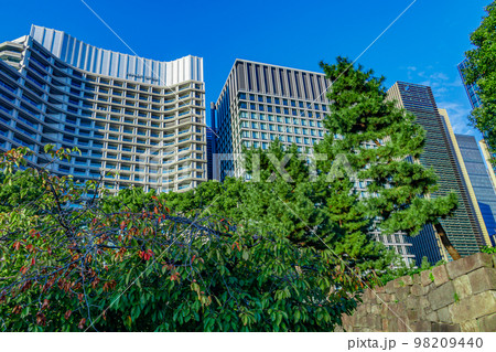 【東京の都市風景】和田倉噴水公園から見た高層ビル 98209440