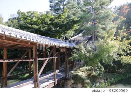 秀吉の妻北政所ねね縁の寺院 高台寺 98209560