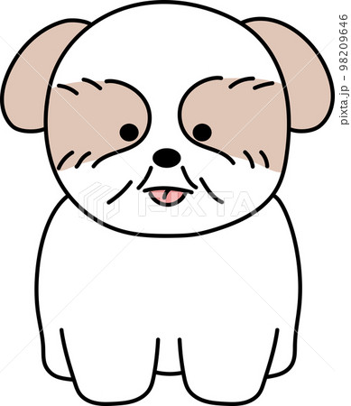 ほっこりかわいいお座りシーズー ほっこりかわいいお座りシーズー 98209646
