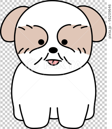 ほっこりかわいいお座りシーズー ほっこりかわいいお座りシーズー 98209646