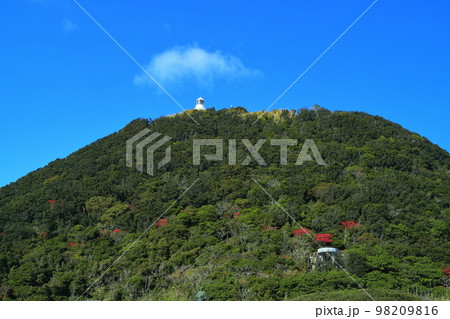 【高知県】室戸岬と室戸岬灯台（灌頂ヶ浜　月見ヶ浜） 98209816