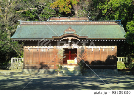 【高知県】晴天の吉良川の琴平神社　 98209830