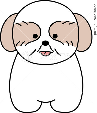 ほっこりかわいいシーズー1 98210022